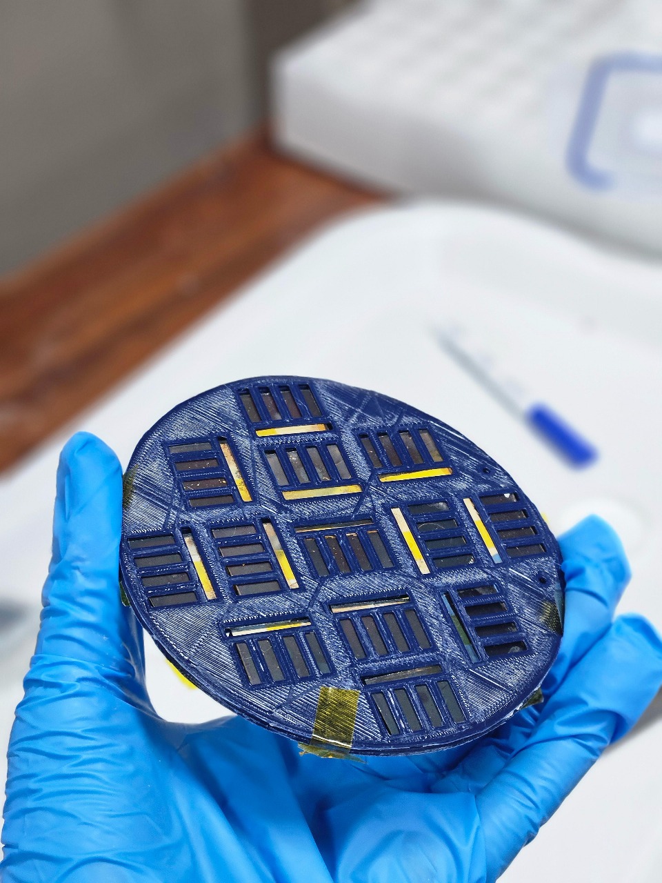 Perovskite Solar Cell